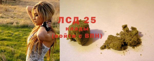 мдпв Дмитриев