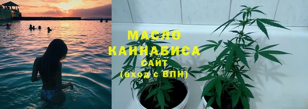 мдпв Дмитриев