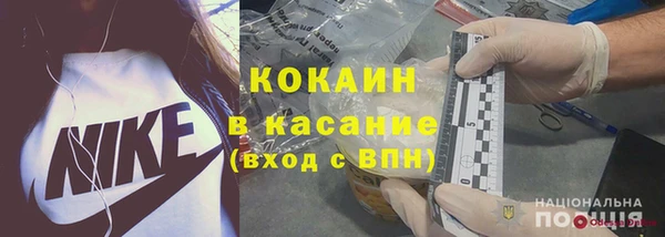 мдпв Дмитриев