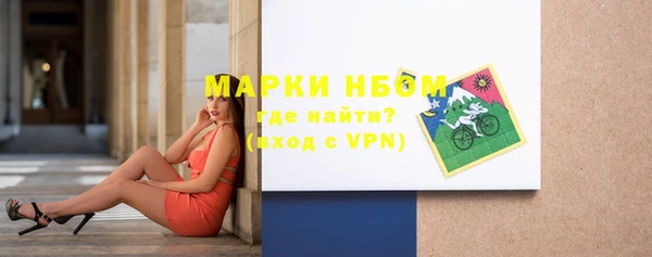 прущие грибы Архангельск
