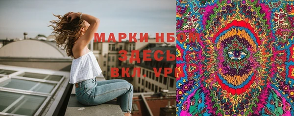 мдпв Дмитриев