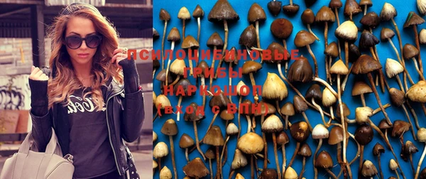 кокаин премиум Дмитровск