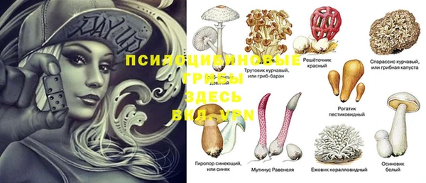 мдпв Дмитриев
