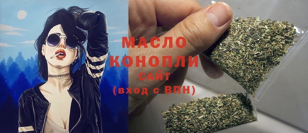 мдпв Дмитриев