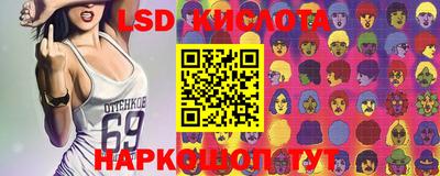 стафф Донецк