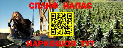 стафф Донецк